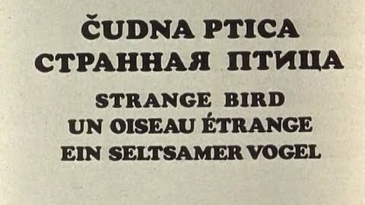 Странная птица. 1969