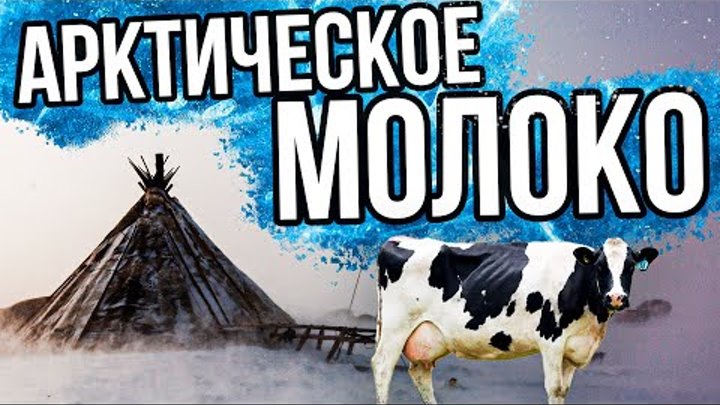 1 день на производстве - молочка на Крайнем Севере | Специальный реп ...