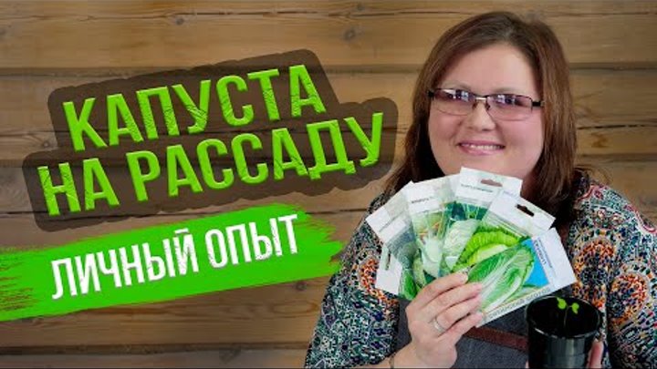 Когда сеять капусту? РАССАДА ДЛЯ БОГАТОГО УРОЖАЯ