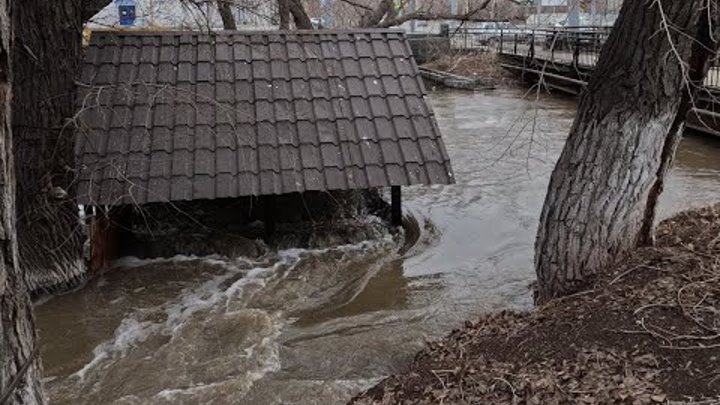 Наводнение в Орске Елшанка разлилась