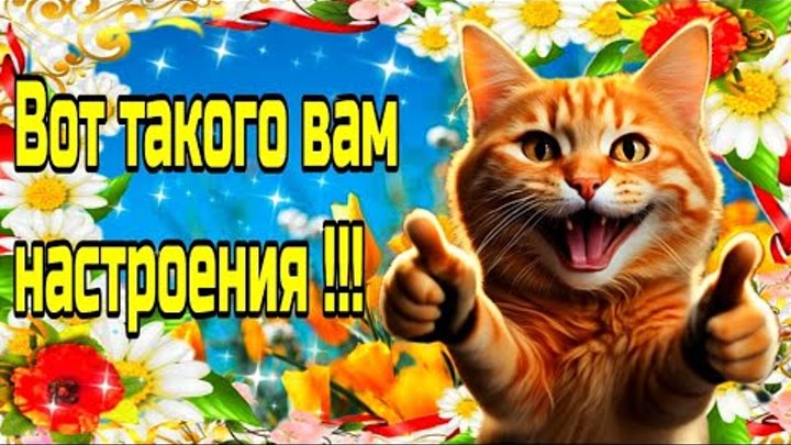 🌞🌼☕Самого доброго весеннего утра!💗Благословенного дня!💗Красивая  ...