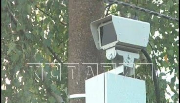 Модернизация камеры видеофиксации нарушений привела к грабежу жителей