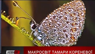 Фотохудожниця Тамара Коренева презентувала світ, якого ми не помічає ...