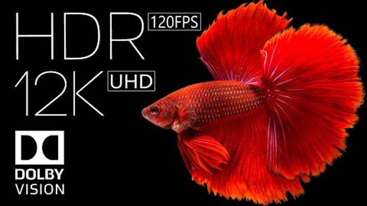 12k HDR 60fps Dolby Vision | Best of 2022