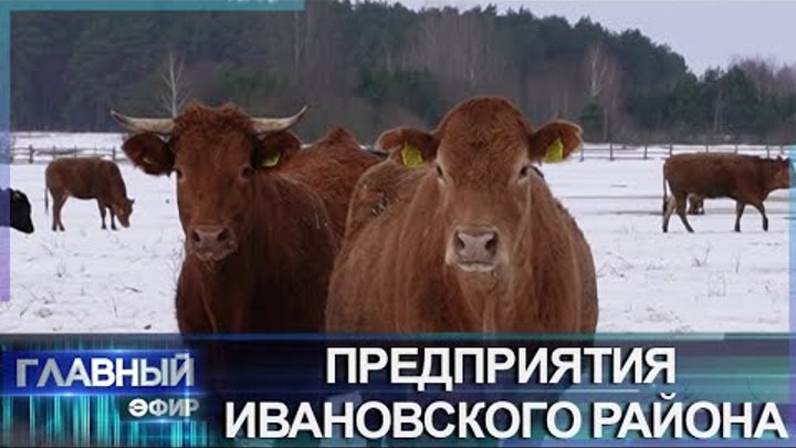 Ивановщина — аграрный край и лидер Брестской области по производству ...