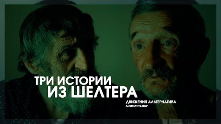 Три истории из шелтера Движения «Альтернатива» | Интервью