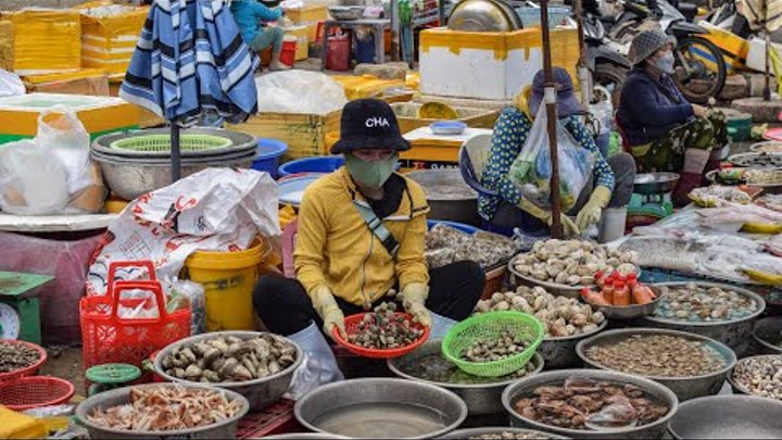 Vietnam 2022 Fish Market Walking Tour