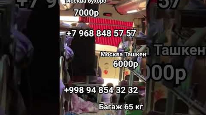 #москва #шортс #санктпетербург #шошилинч_хабарлар #rek  #автобус #та ...