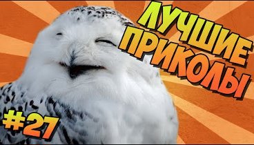 ЛУЧШИЕ ПРИКОЛЫ #27 СОВЫ ТАНЦУЮТ