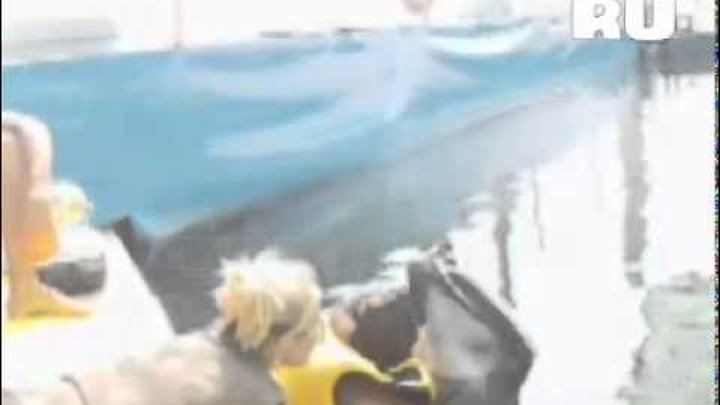 Дельфин помог прозреть слепой девочке