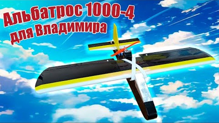 Модель самолета Альбатрос 1000-4 для Владимира / ALNADO