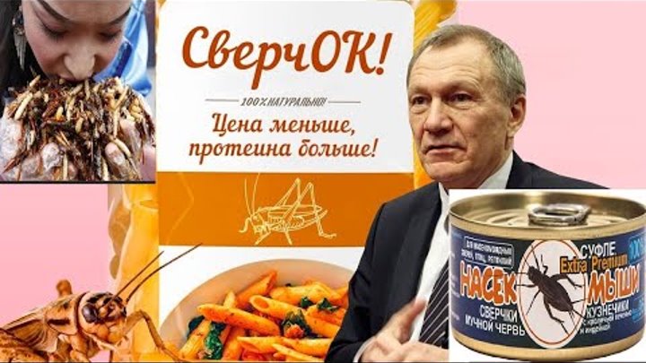 ❗⚡ ДОКТОР РЕДЬКО: «ПОЧЕМУ МЫ ДОЛЖНЫ ЕСТЬ ОПАРЫШЕЙ, КОГДА НА СКЛАДАХ  ...