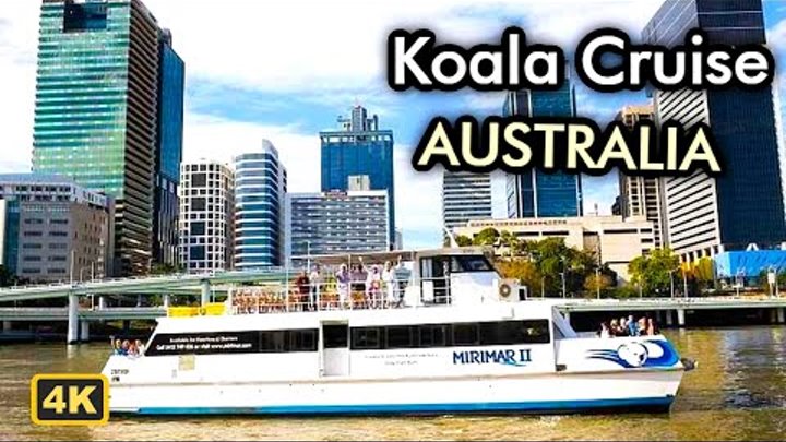 Koala River Tour (Brisbane, Australia)