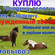 Куплю Любое