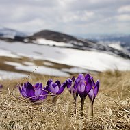 Нина-лиза Рываева-жданова