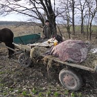 Продаж Монет