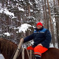 Сергей Герасимович