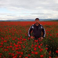 Владимир Гапкалов