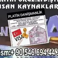 Plati̇n Danyshmanlik