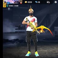 Free Fire