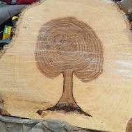 Валка Деревьев