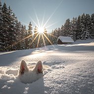 Aндрей Алексеевич