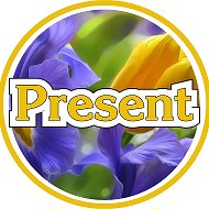 Студия Present