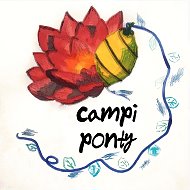 Campi Ponty