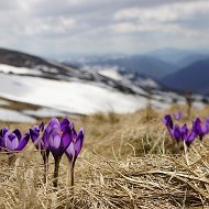 Марина Румненко