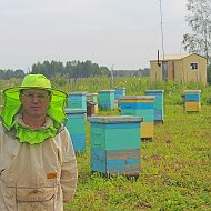 Андрей Старчевский