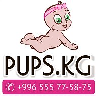 Pups Kg