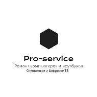 Pro- Service-nf