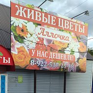 Татьяна Ажакина