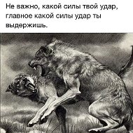 Ислам Хабибулаевич