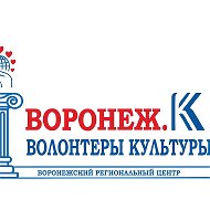 Воронеж Волонтеры