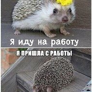 Злобный Тролль