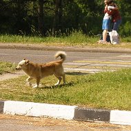 Сергей Пономарёв