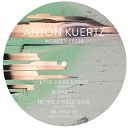 Anton Kuertz