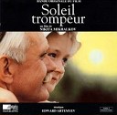 Soleil Trompeur