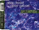 Deep Forest with Peter Gabriel