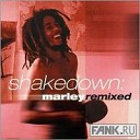Shakedown Marley Remixed