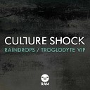 Culture Shock