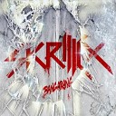 Skillet + Skrillex