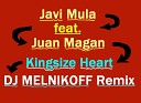 Kingsize Heart (DJ MELNIKOFF Remix 2012)