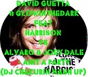 David Guetta Glowinthedark feat Harrison Vs Alvaro & Joey Dale - Aint a Party(Dj Chekurin Mash Up)