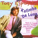 Kalimba De Luna (Kamasutra & Bini Short Radio Edit)