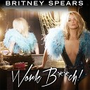 Britney Spears - Work Bitch (DFM MIX)  (http://www.dfm.ru)