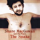 Shane MacGowan & The Popes