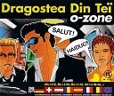 Dragostea Din Tei (Romanian Version)
