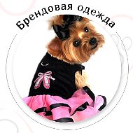 Glamurdog™✔️🐶 Одежда